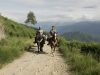 Randonnée à cheval avec allure au pas, dans les Pyrénées