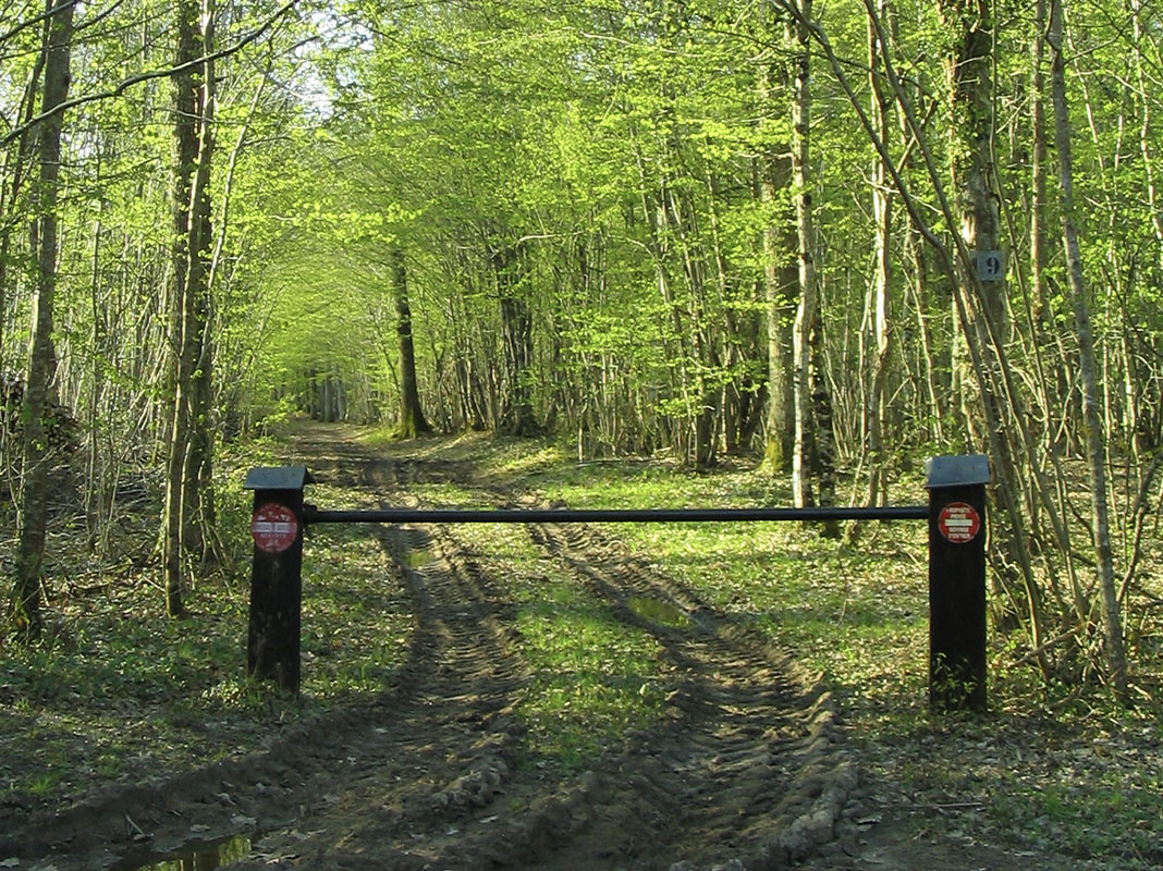Chemin forestier avec barrière