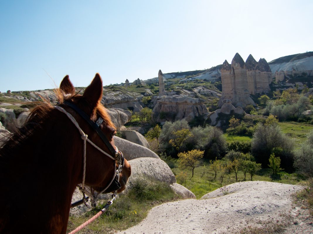 Voyage à cheval en Turquie