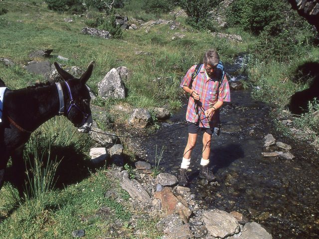 Un âne des Pyrénées en rando dans les Hautes Pyrénées (65) avec licols et longes par Voyages à Cheval