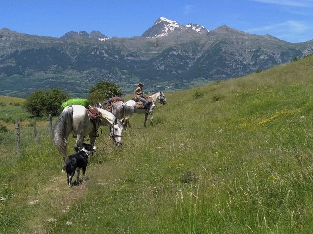 Randonnée équestre des Monts Lyonnais au Champsaur dans les Alpes