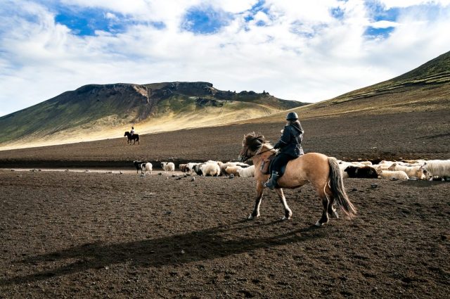 Landmannaafrettur, terre d'aventure en Islande
